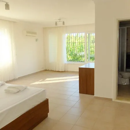 Yaniklar - Buketi Villa
